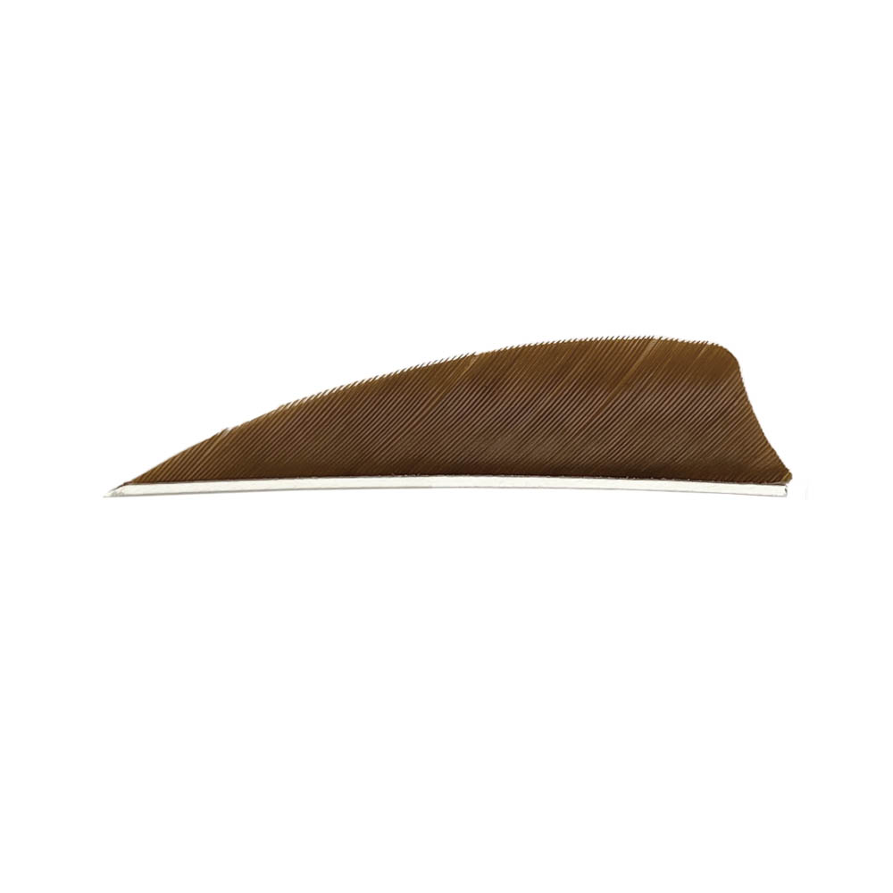 Farbe: Brown Farbe: Brown
