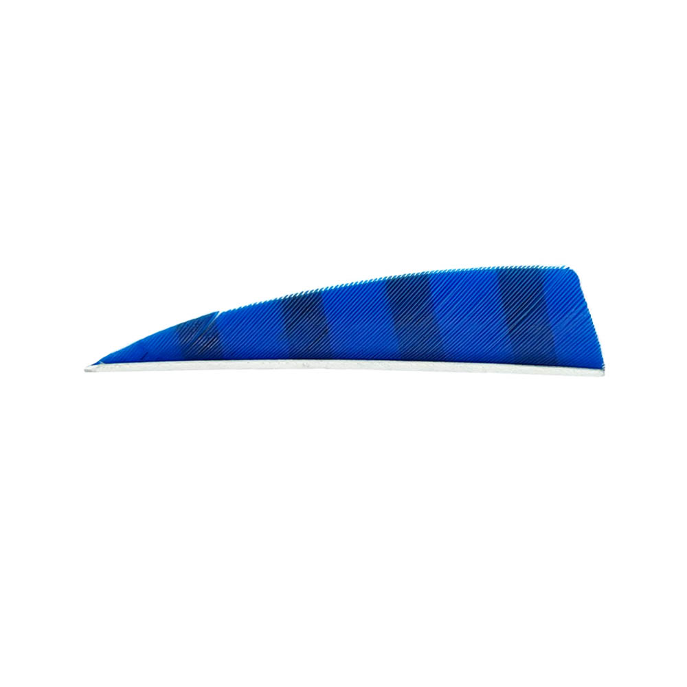 Farbe: Blue/Black Farbe: Blue/Black