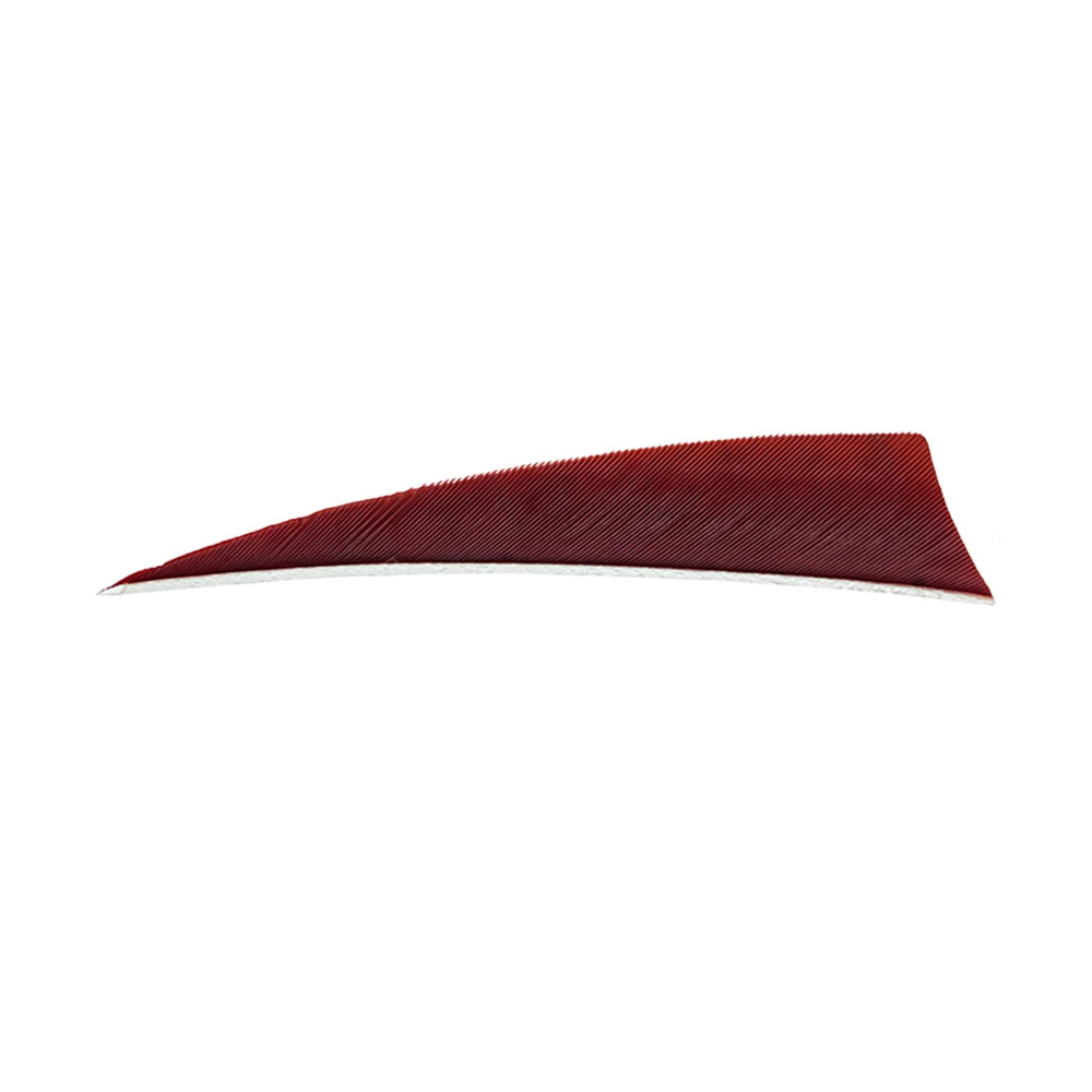 Farbe: Wine Red Farbe: Wine Red
