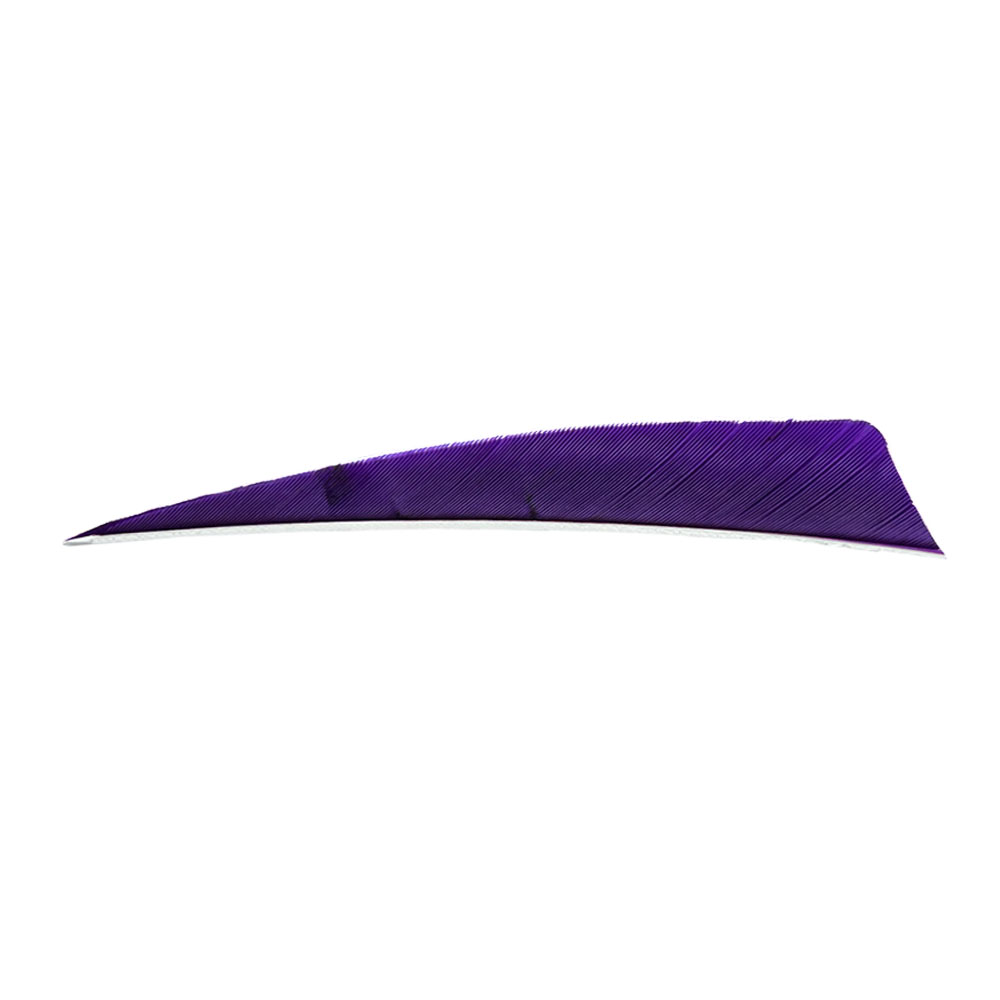 Farbe: Purple Farbe: Purple