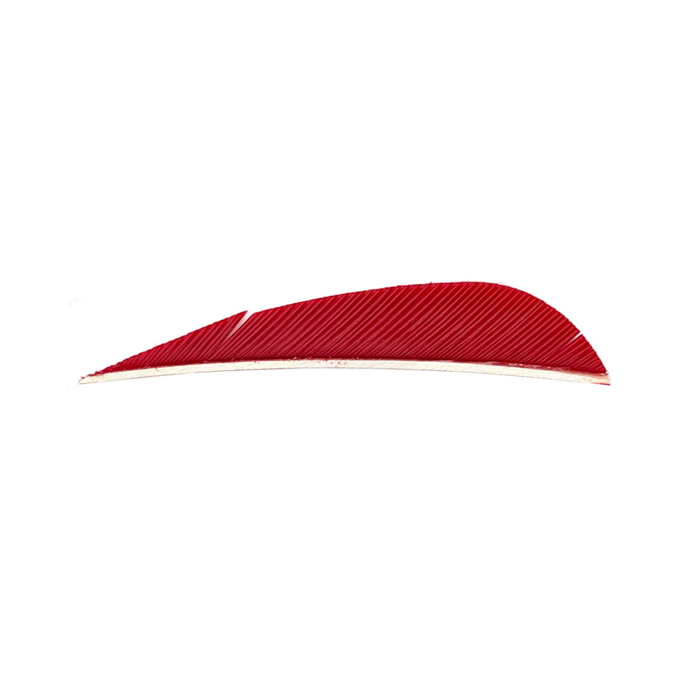 Farbe: Red Farbe: Red