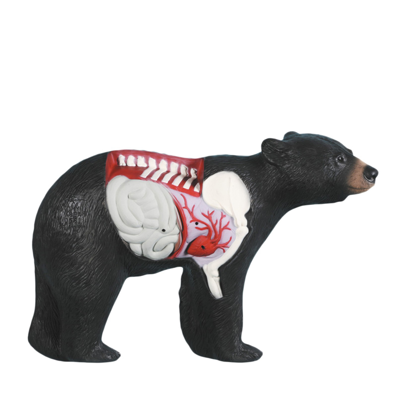 Rinehart 3D Ziel Anatomie Bär