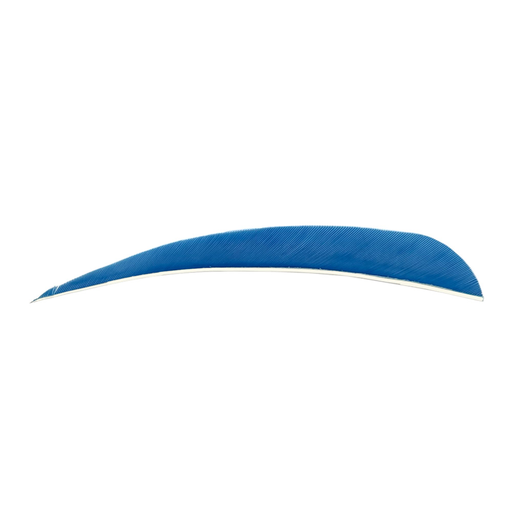 Farbe: Sky Blue Farbe: Sky Blue