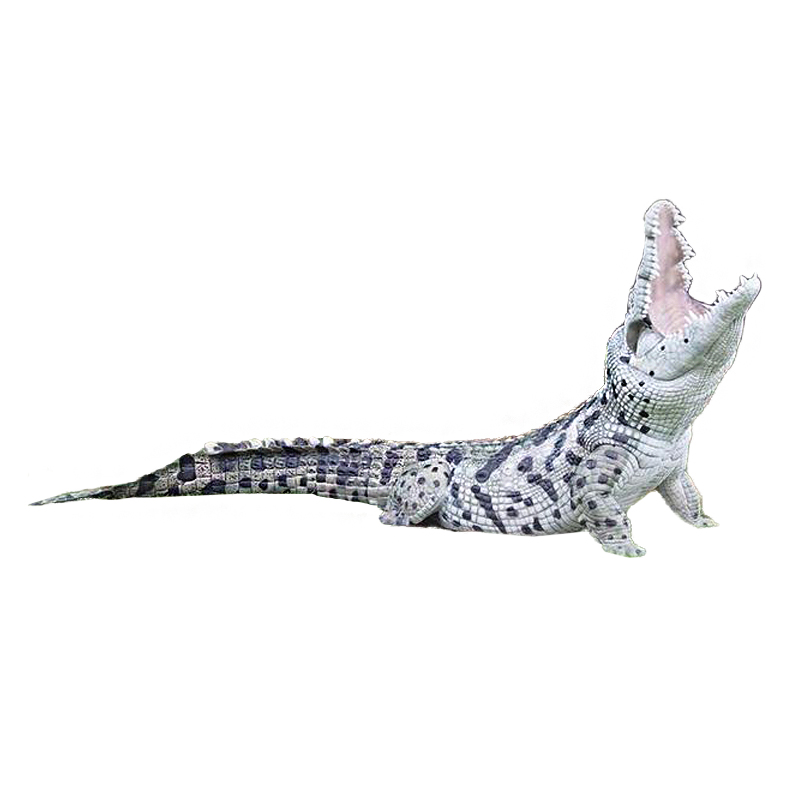 Natur Foam 3D Ziel Krokodil
