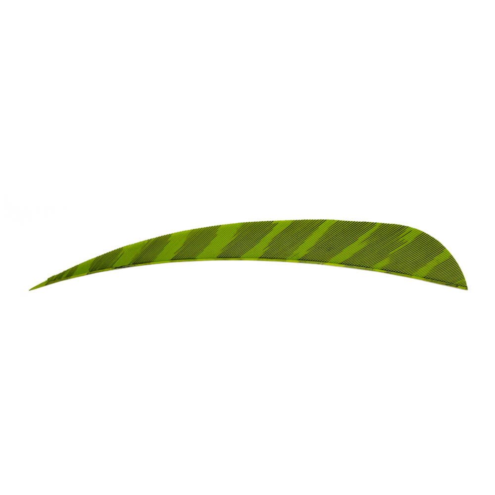 Farbe: Barred Chartreuse Farbe: Barred Chartreuse
