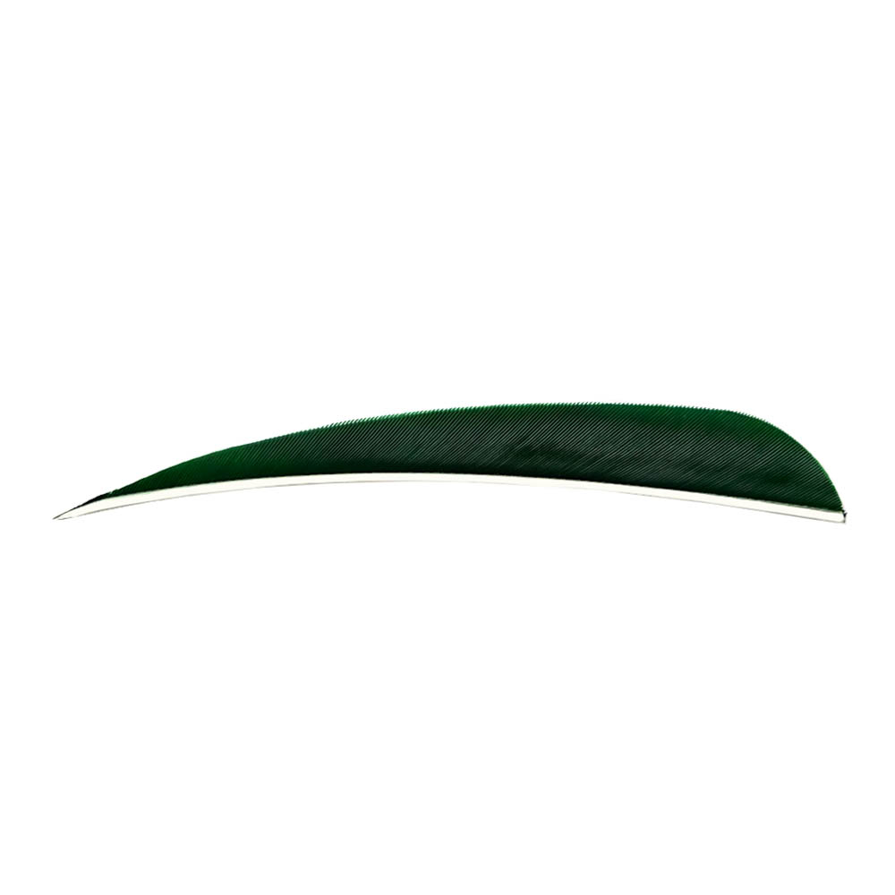 Farbe: Green Farbe: Green