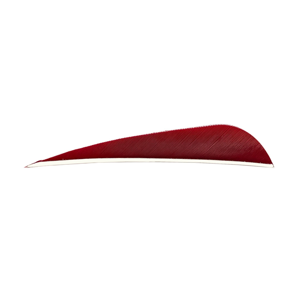 Farbe: Red Farbe: Red