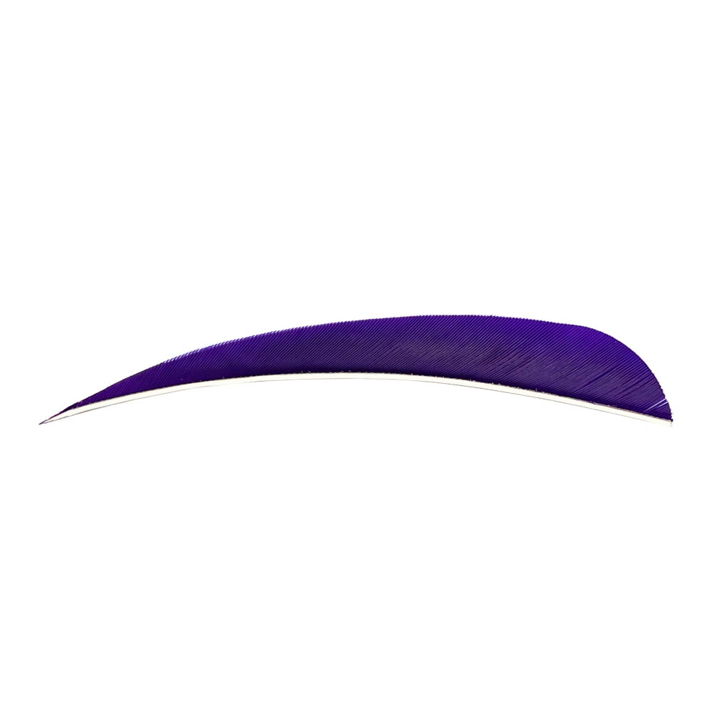 Farbe: Purple Farbe: Purple