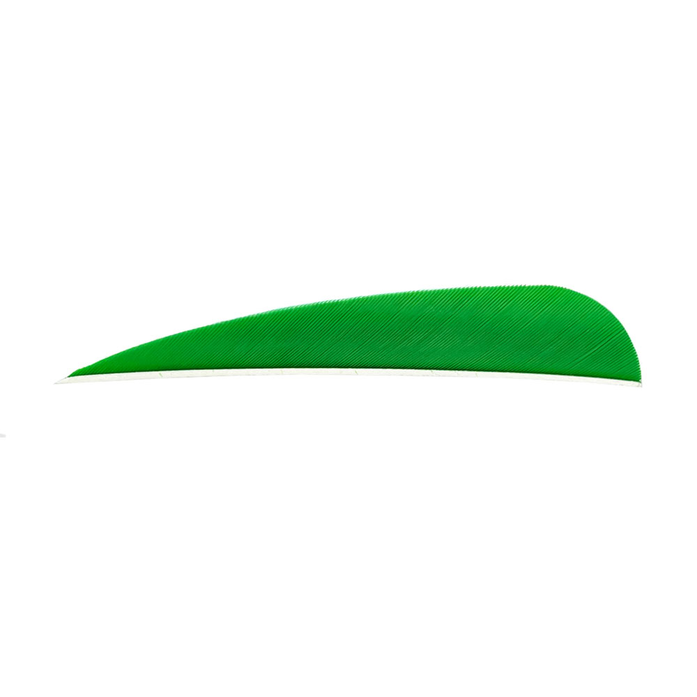 Farbe: Green Farbe: Green