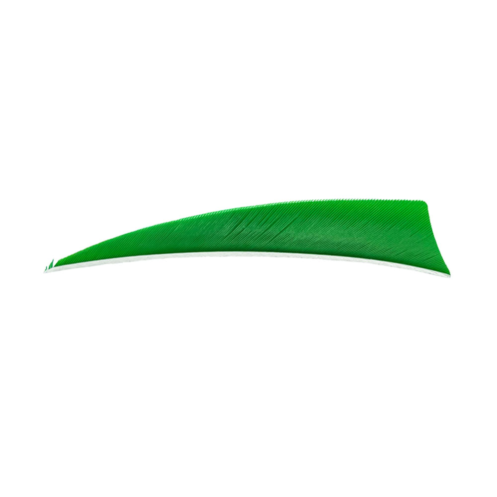 Farbe: Green Farbe: Green
