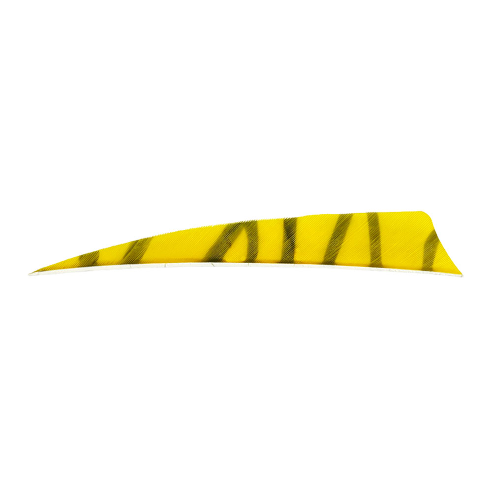Farbe: Yellow/Black Farbe: Yellow/Black