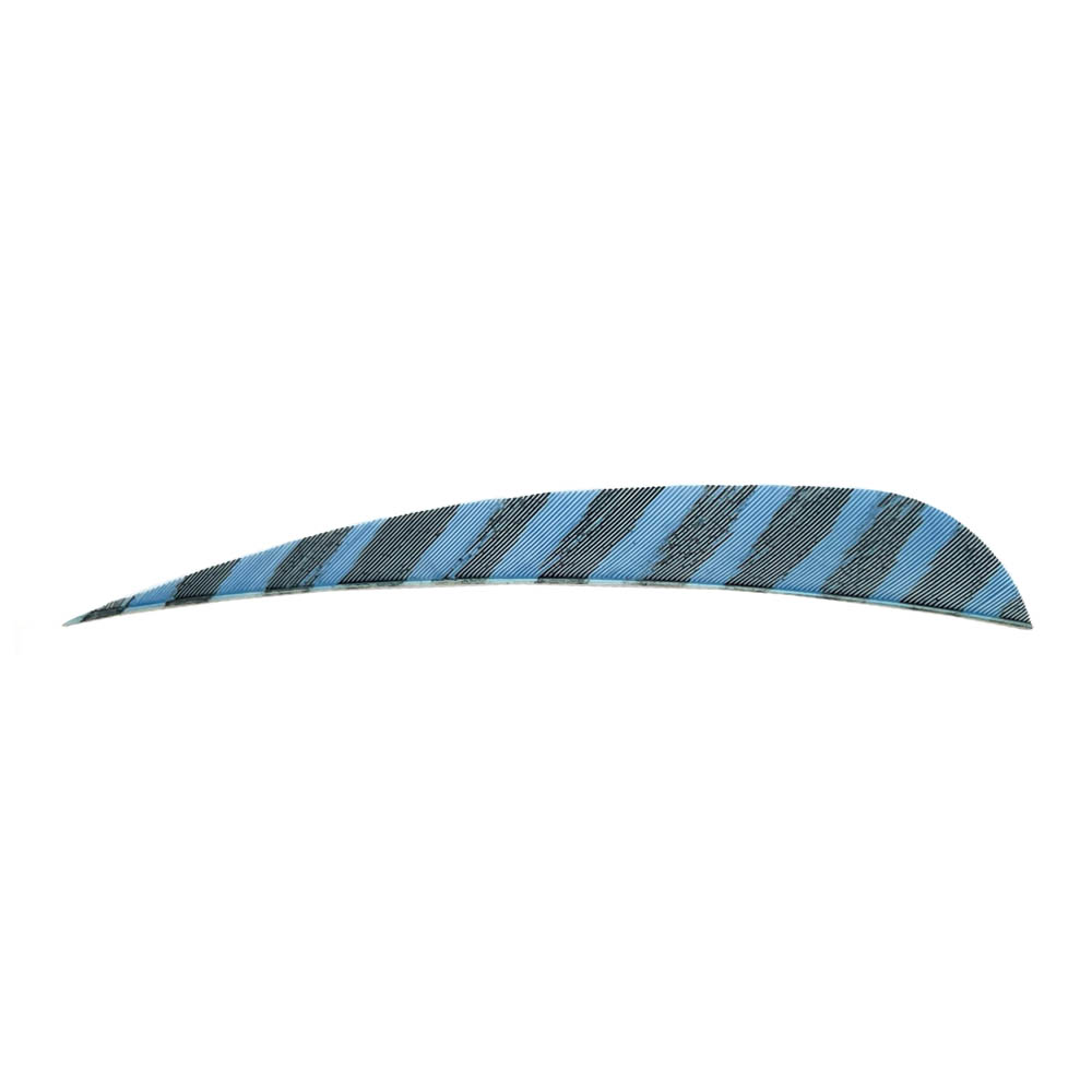 Farbe: Barred Blue Farbe: Barred Blue