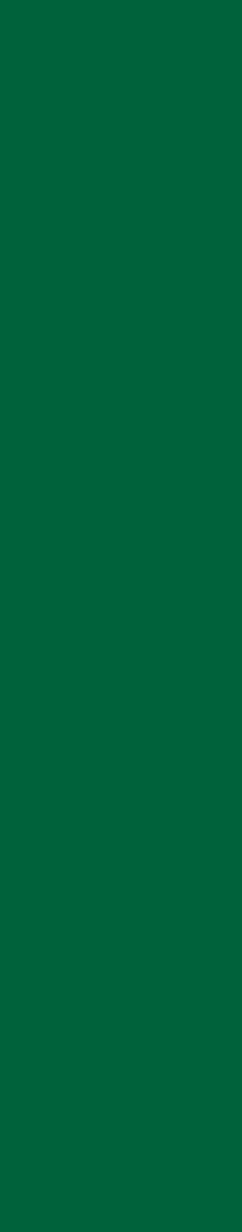 DBS Arrow Wrap Green DBS Arrow Wrap Green