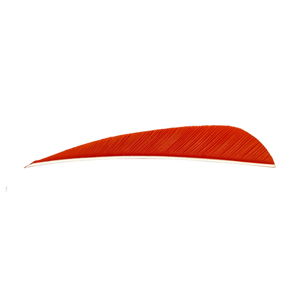 Farbe: Tangerine Farbe: Tangerine