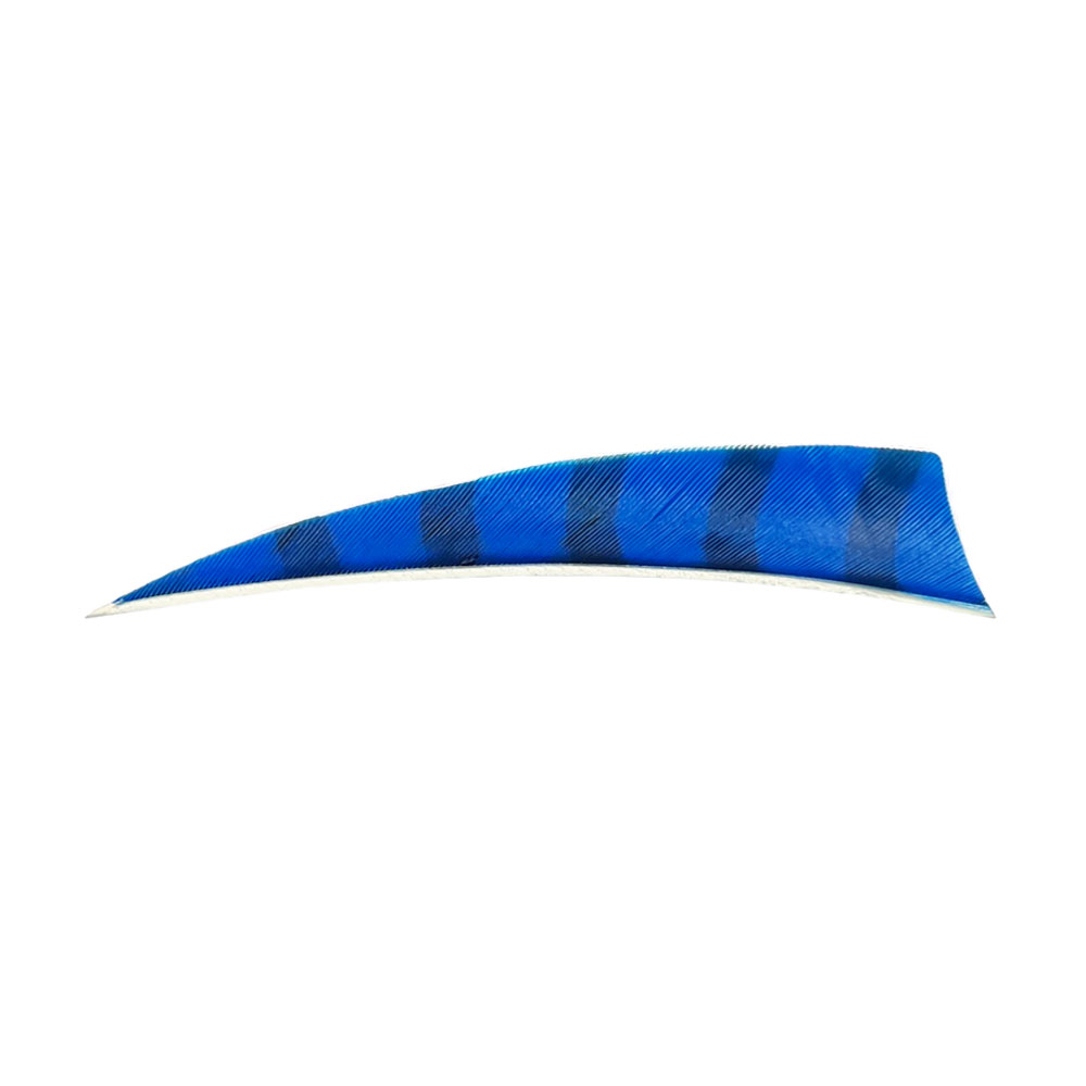 Farbe: Blue/Black Farbe: Blue/Black
