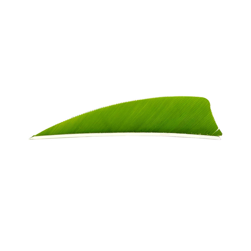 Farbe: Chartreuse Farbe: Chartreuse