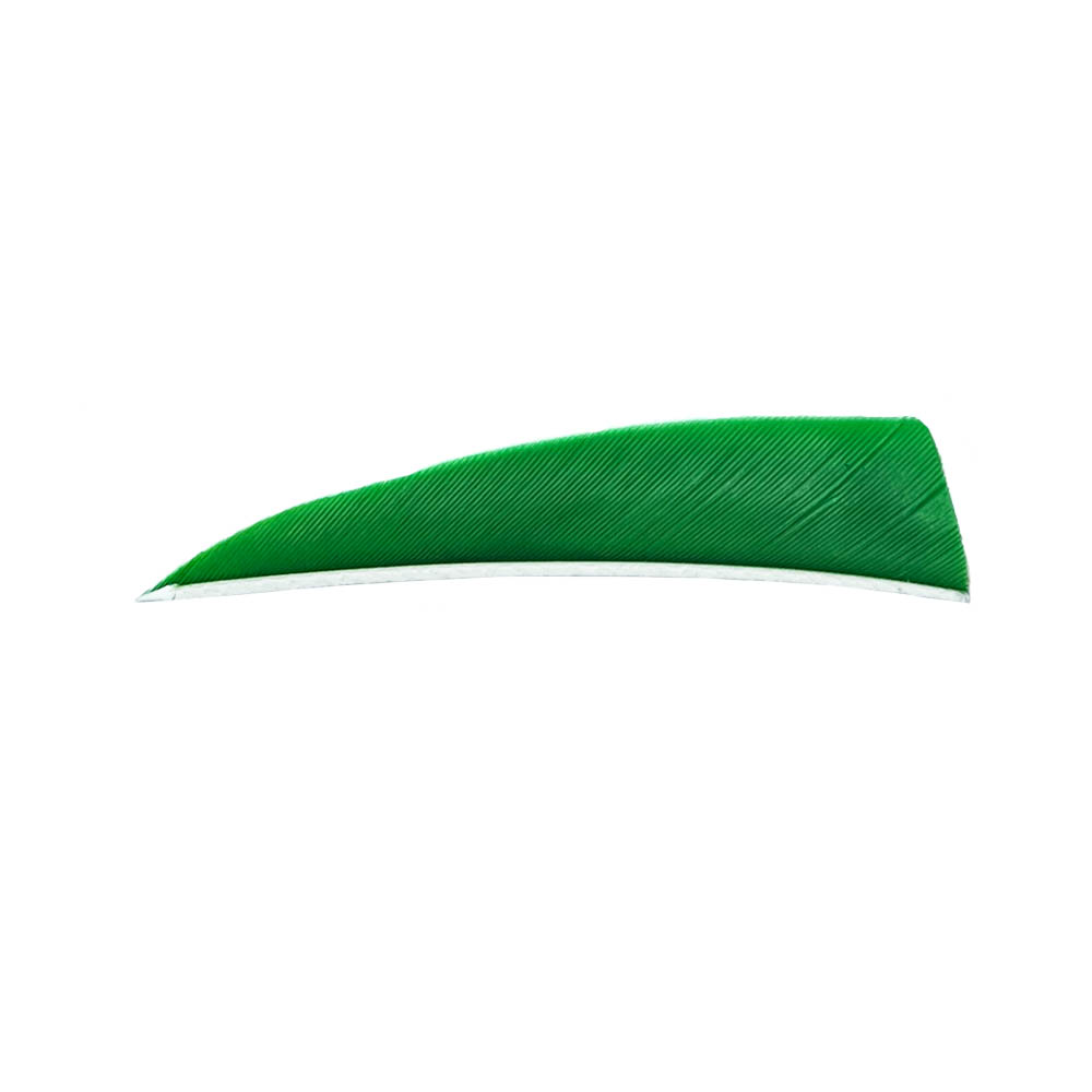 Farbe: Green Farbe: Green