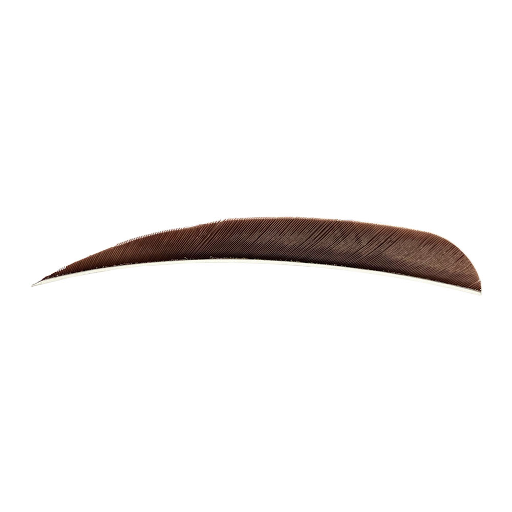 Farbe: Brown Farbe: Brown
