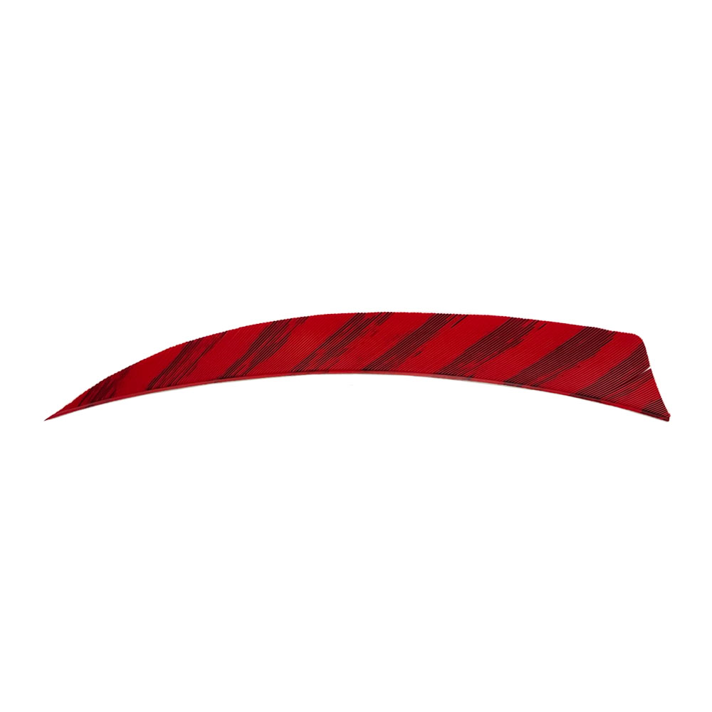 Farbe: Barred Red Farbe: Barred Red