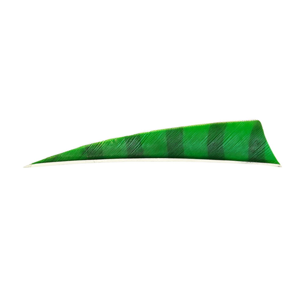 Farbe: Green/Black Farbe: Green/Black