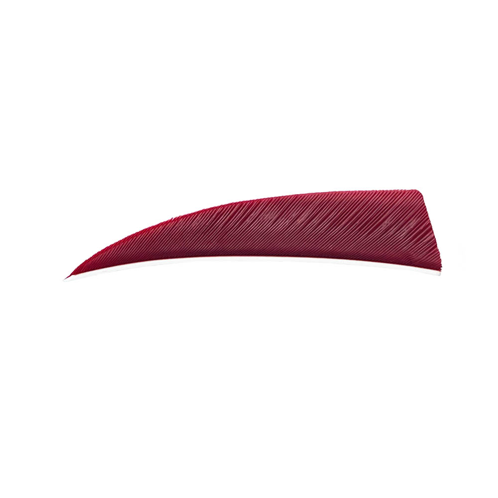 Farbe: Red Farbe: Red