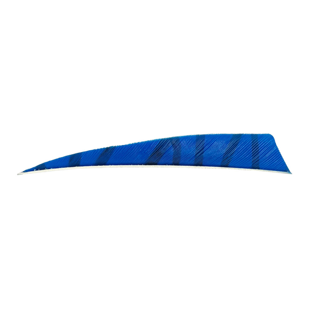 Farbe: Blue/Black Farbe: Blue/Black