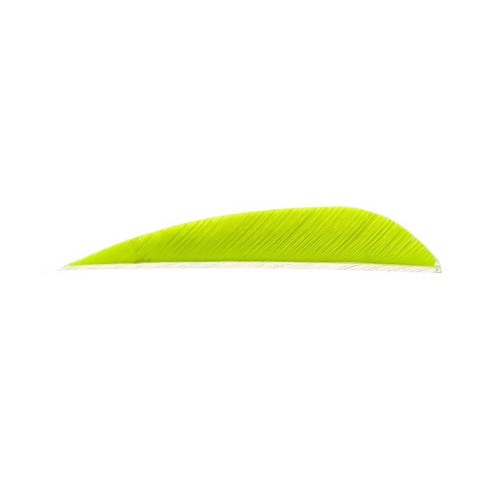 Farbe: Lemon Lime Farbe: Lemon Lime