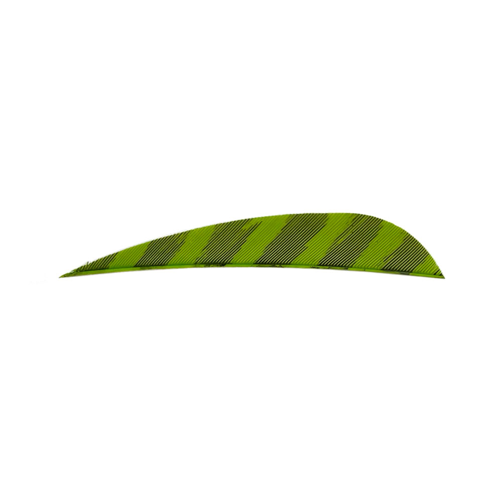 Farbe: Barred Chartreuse Farbe: Barred Chartreuse