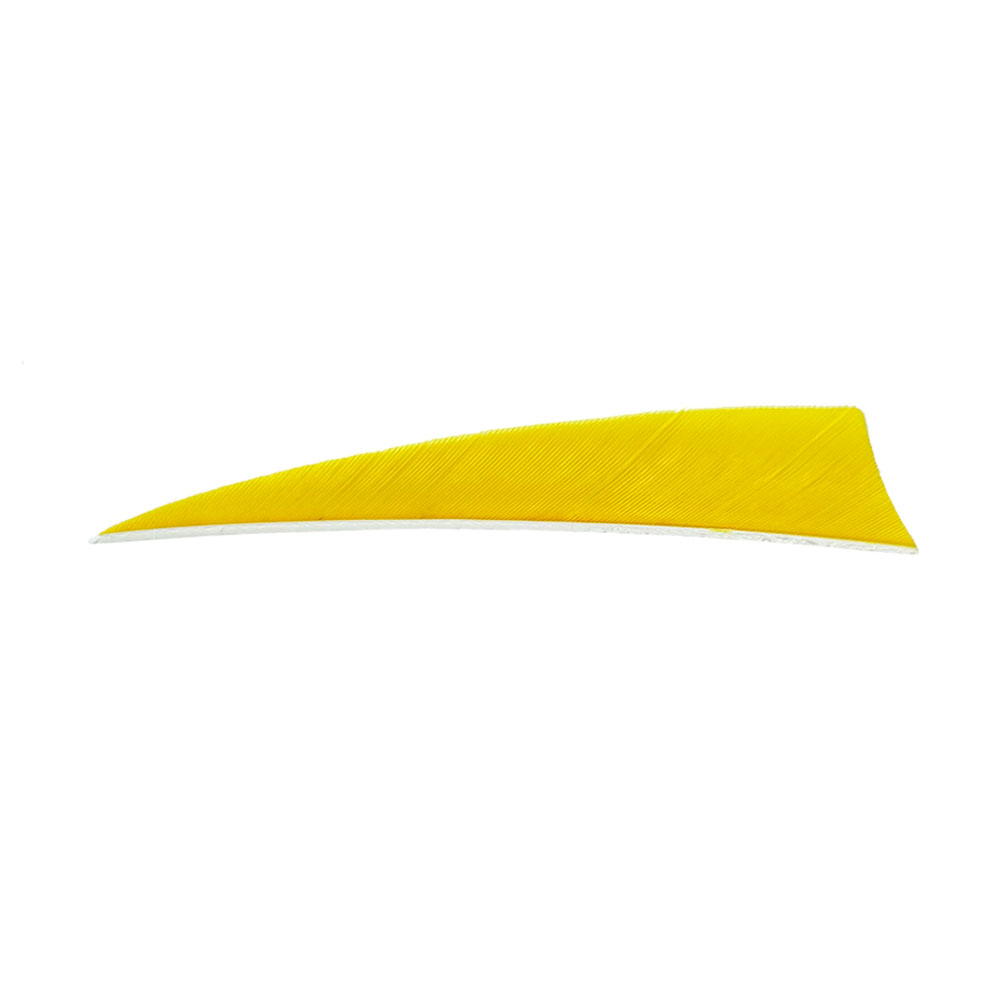 Farbe: Yellow Farbe: Yellow