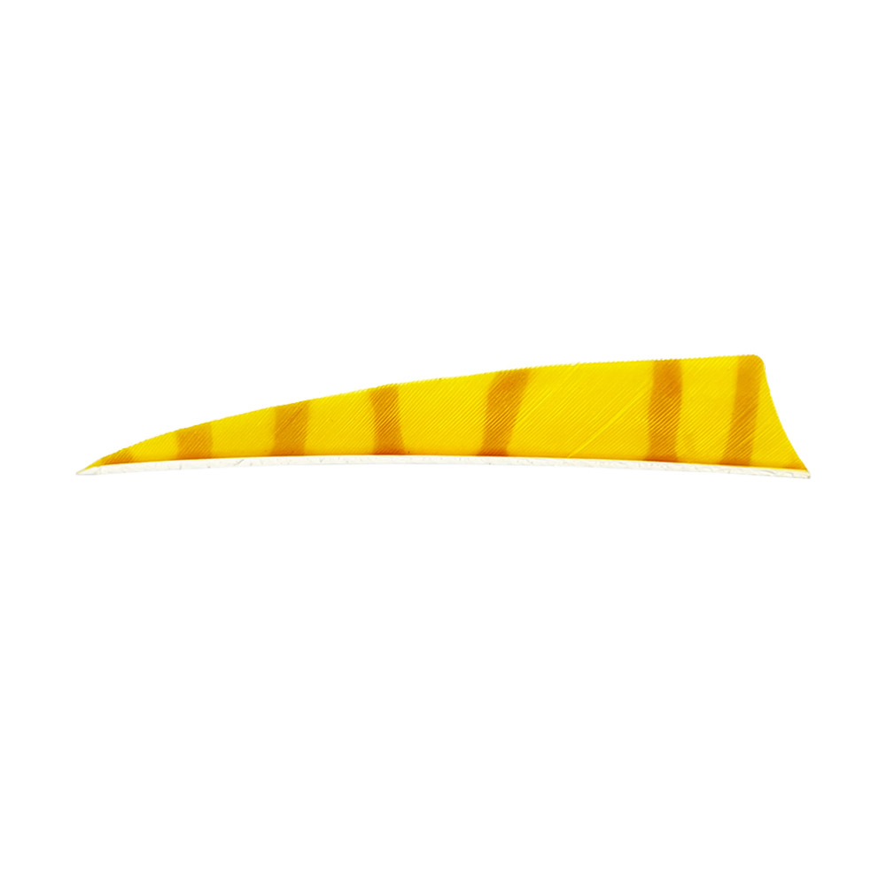 Farbe: Yellow/Orange Farbe: Yellow/Orange