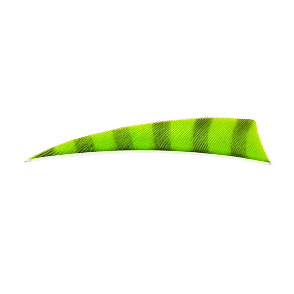 Farbe: Fluor Green/Black Farbe: Fluor Green/Black