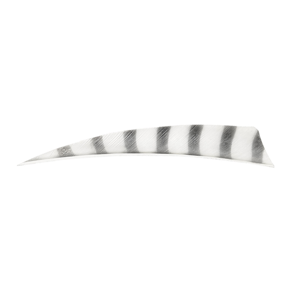 Farbe: White/Black Farbe: White/Black