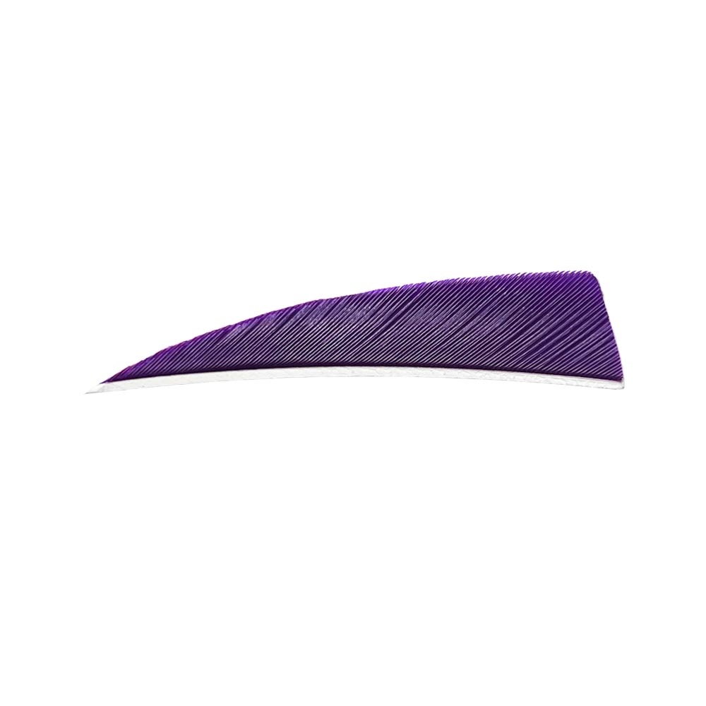 Farbe: Purple Farbe: Purple