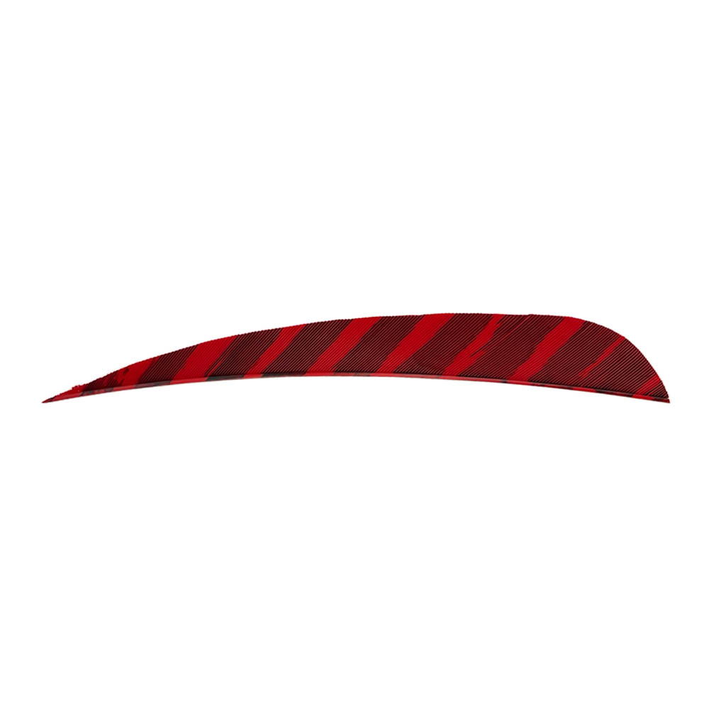 Farbe: Barred Red Farbe: Barred Red