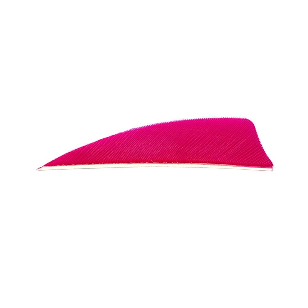 Farbe: Pink Farbe: Pink