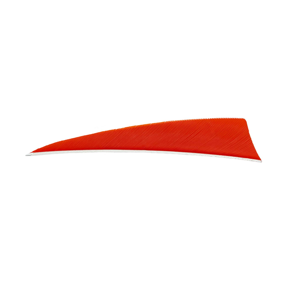 Farbe: Orange Farbe: Orange