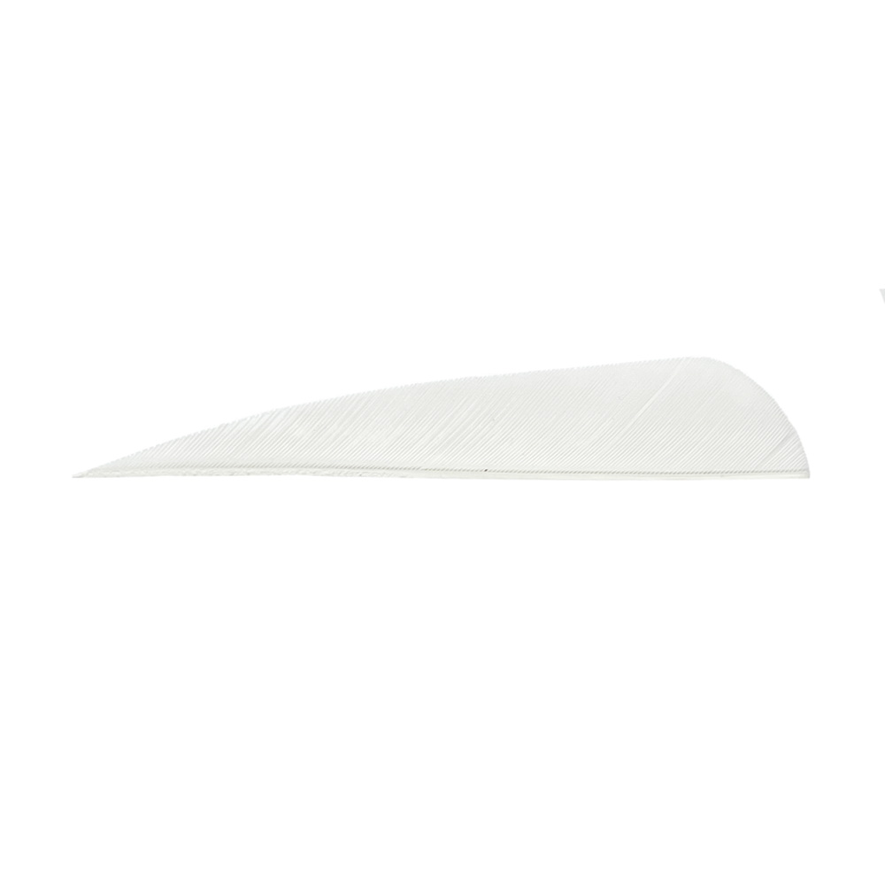 Farbe: White Farbe: White