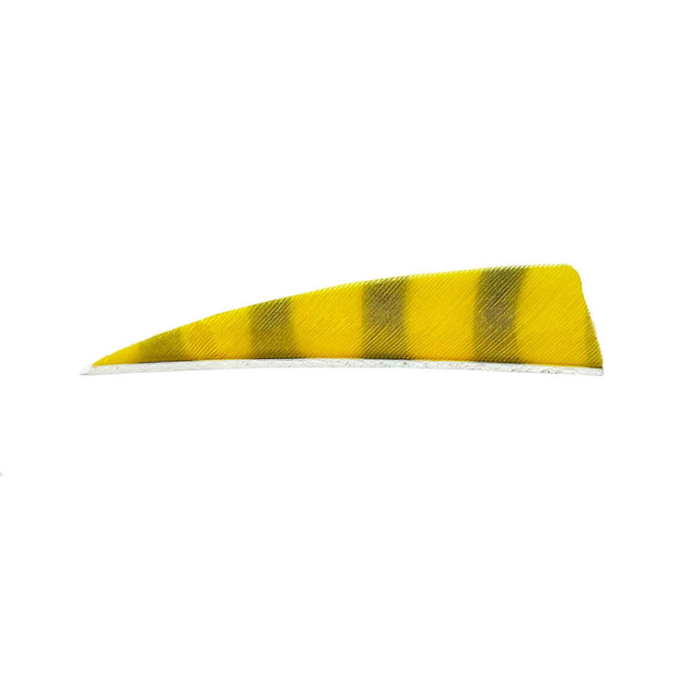 Farbe: Yellow/Black Farbe: Yellow/Black