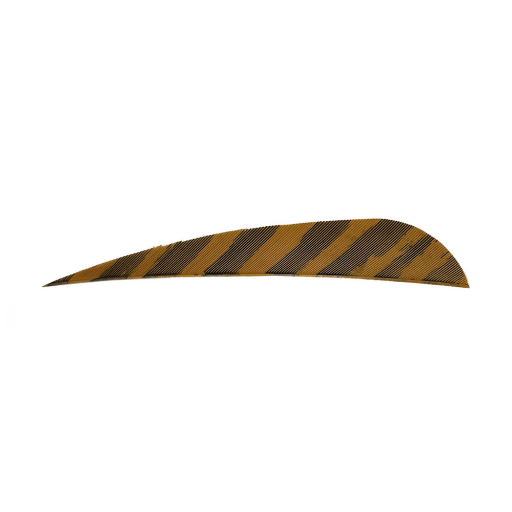 Farbe: Barred Brown Farbe: Barred Brown