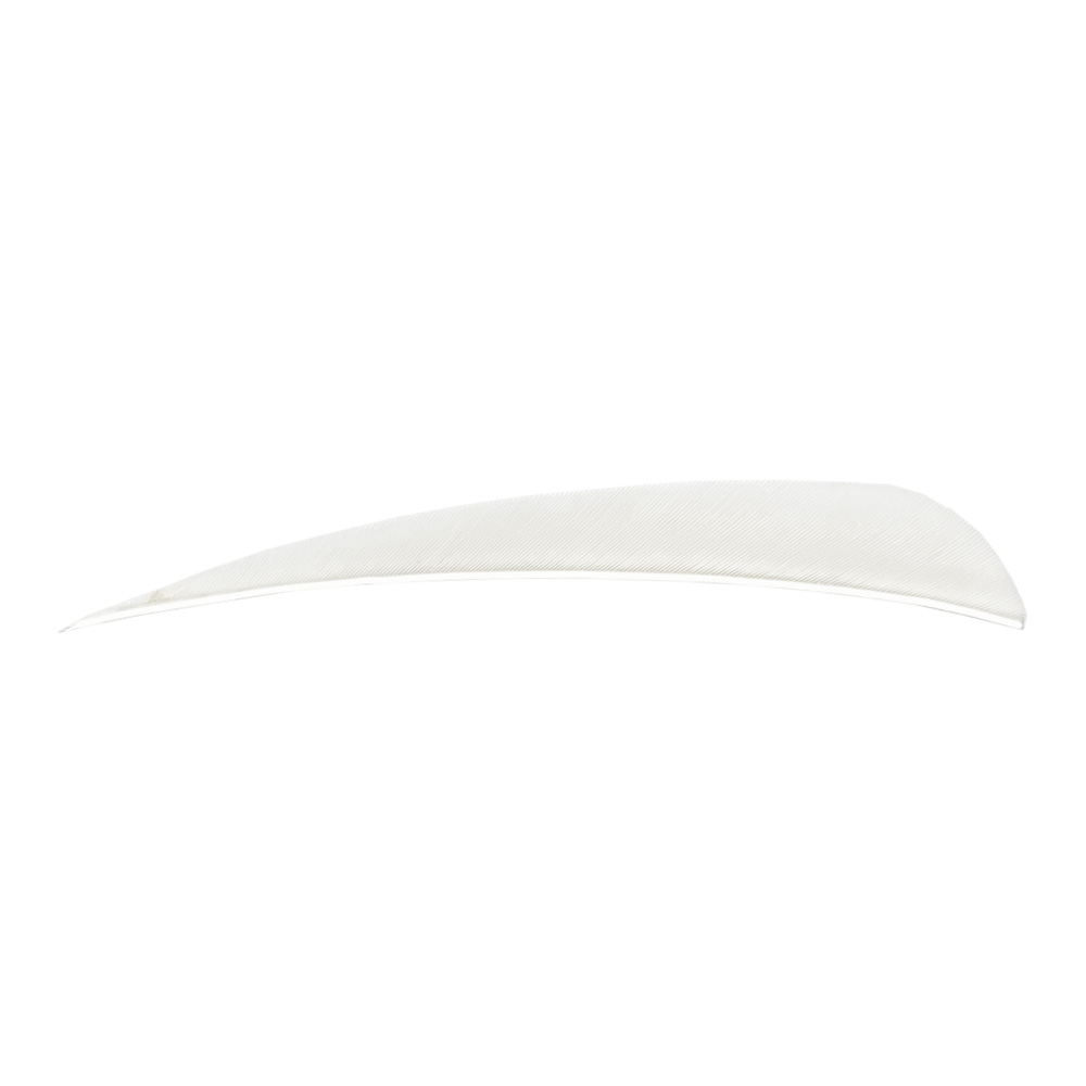 Farbe: White Farbe: White