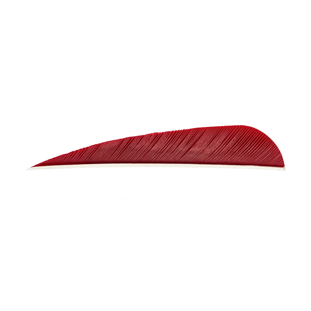 Farbe: Red Farbe: Red