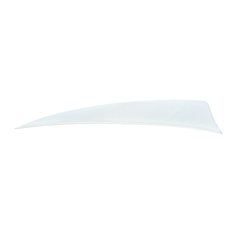 Farbe: White Farbe: White