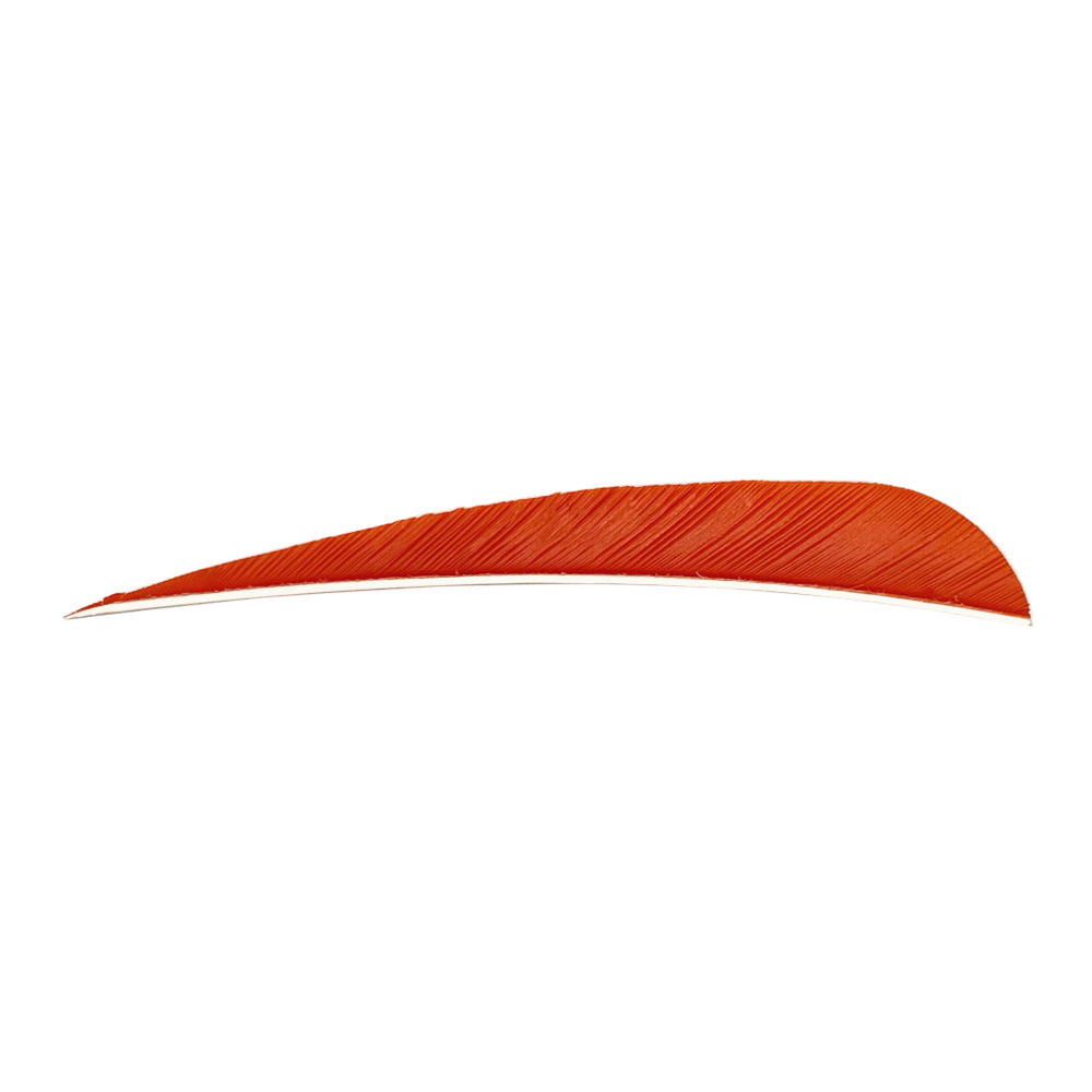 Farbe: Tangerine Farbe: Tangerine