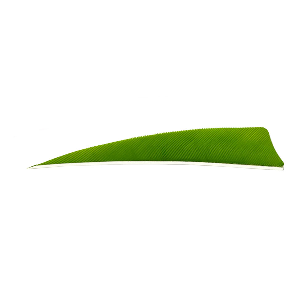 Farbe: Chartreuse Farbe: Chartreuse