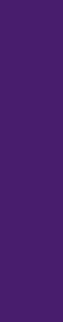 DBS Arrow Wrap Purple DBS Arrow Wrap Purple
