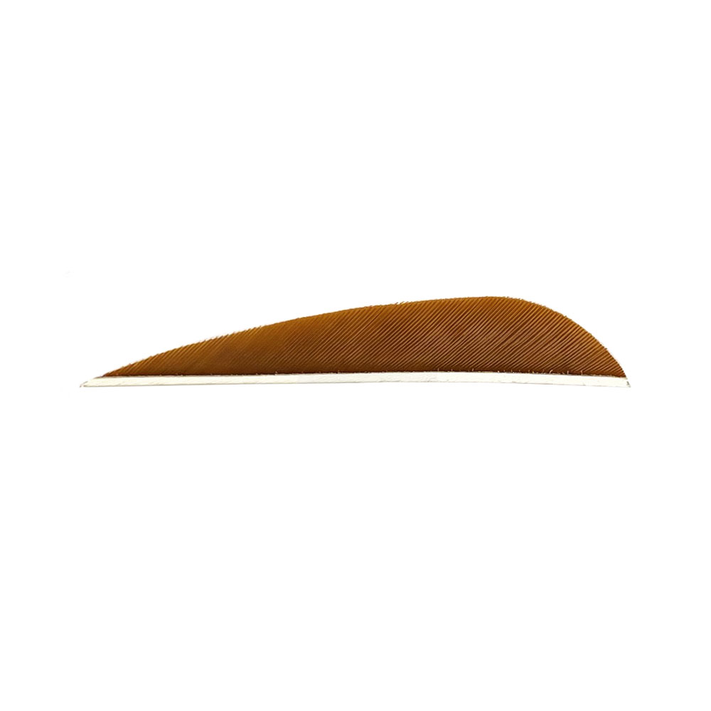 Farbe: Brown Farbe: Brown
