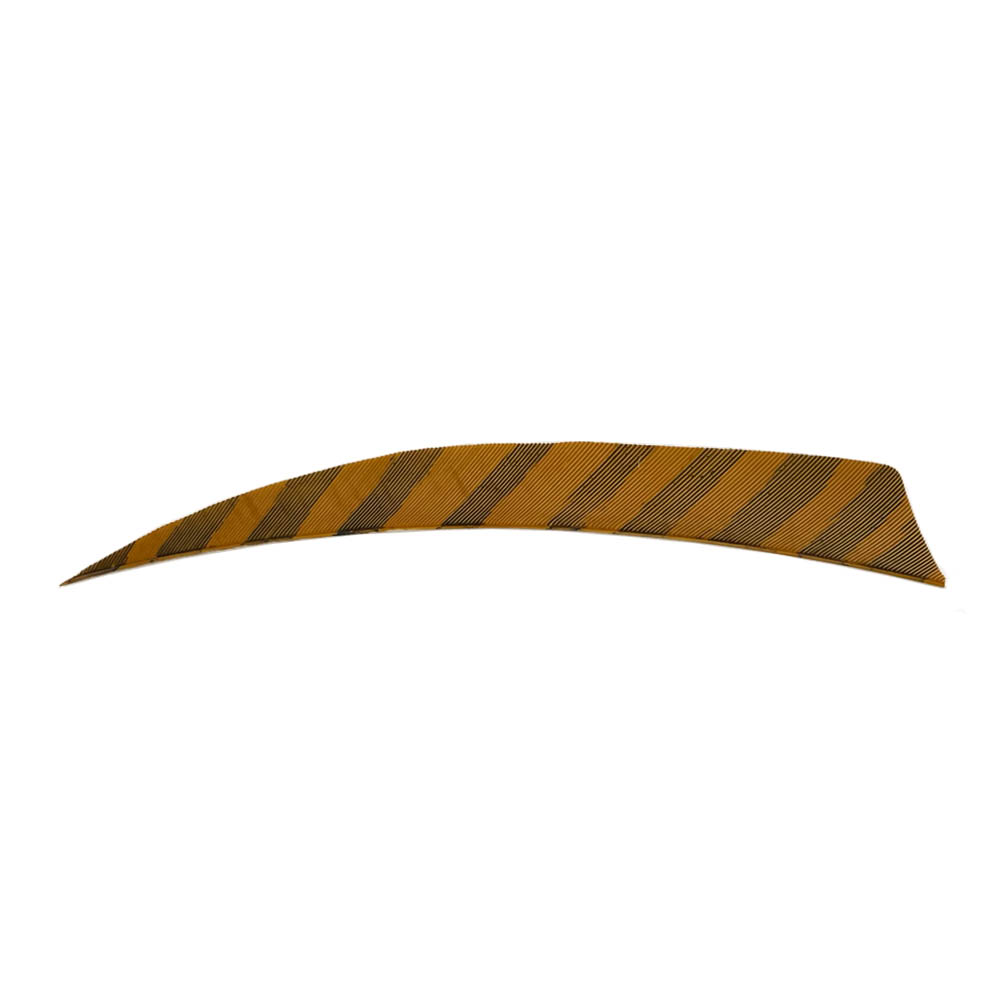 Farbe: Barred Brown Farbe: Barred Brown