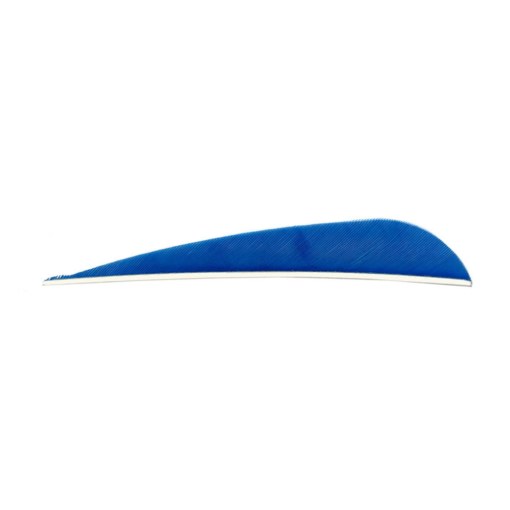 Farbe: Sky Blue Farbe: Sky Blue