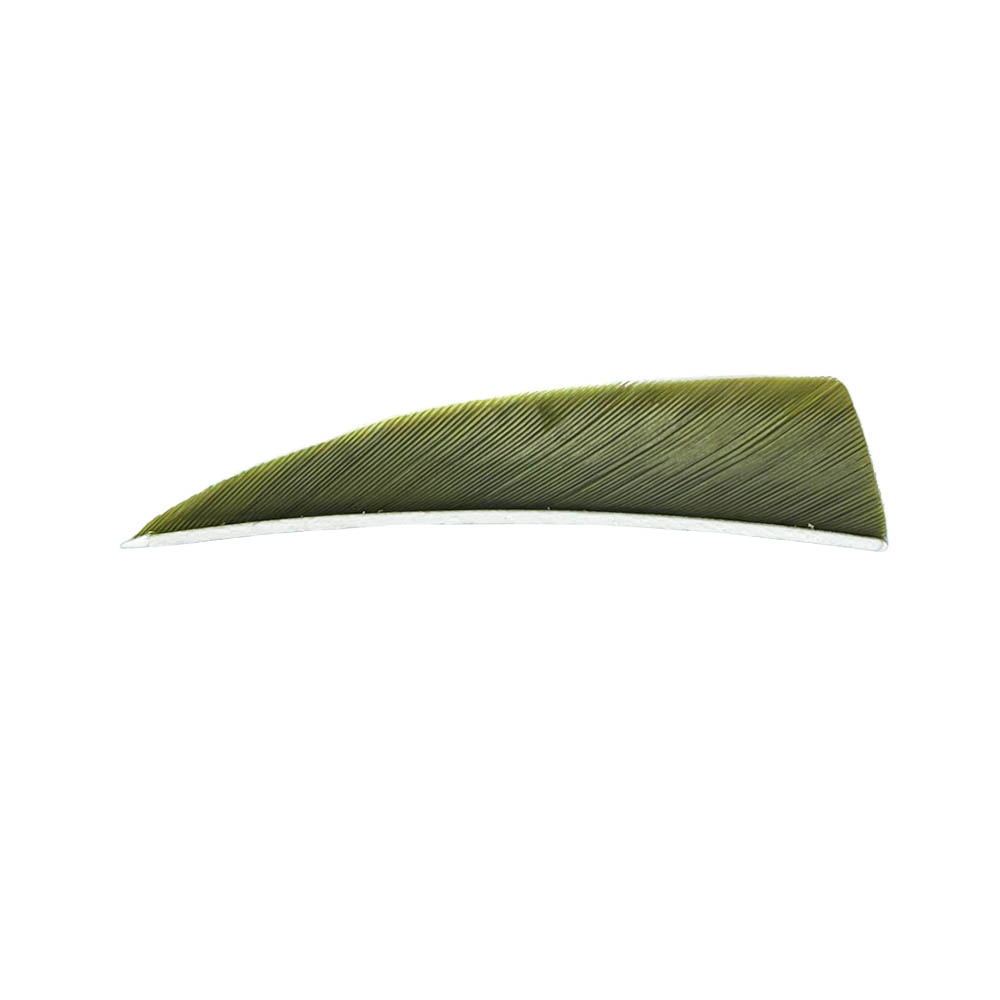 Farbe: Olive Green Farbe: Olive Green