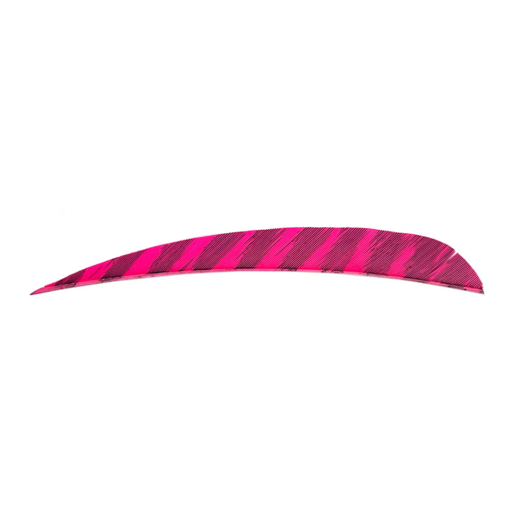 Farbe: Barred Pink Farbe: Barred Pink